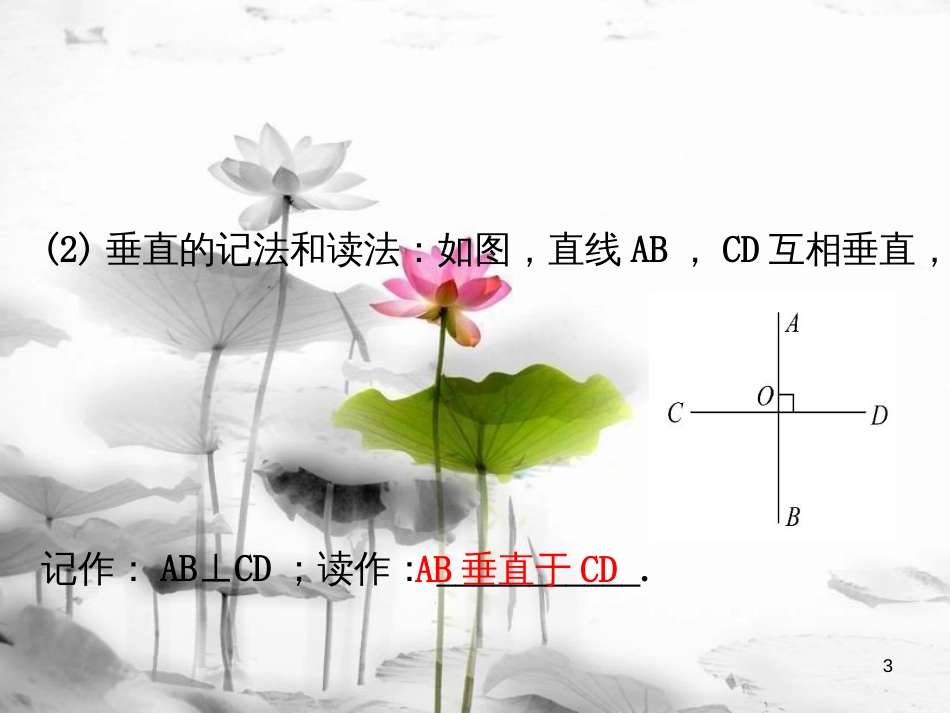 七年级数学下册 第五章 相交线与平行线 5.1 相交线 5.1.2 垂线课件1 （新版）新人教版_第3页