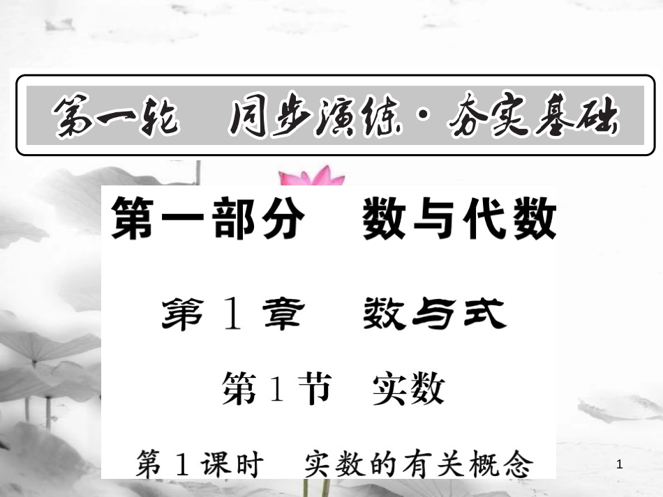 春中考数学总复习 第一轮 同步演练 夯实基础 第一部分 数与代数 第1章 数与式 第1节 实数 第1课时 实数的有关概念课件 新人教版_第1页