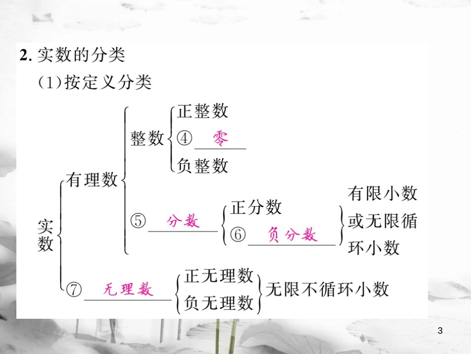 春中考数学总复习 第一轮 同步演练 夯实基础 第一部分 数与代数 第1章 数与式 第1节 实数 第1课时 实数的有关概念课件 新人教版_第3页