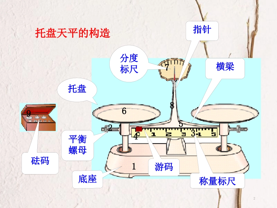 福建省浦城县八年级物理全册 5.2学习使用天平和量筒课件 （新版）沪科版_第2页