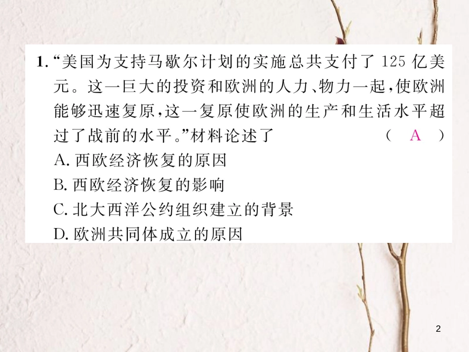 （河北专版）中考历史总复习 第21讲 战后主要资本主义国家的发展变化命题强化练课件_第2页