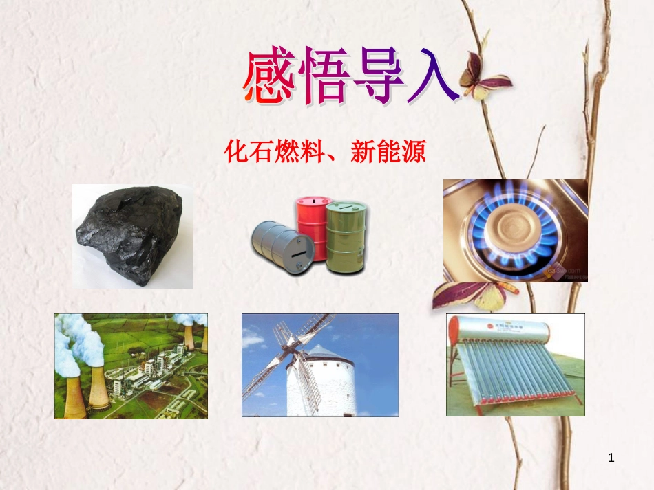 九年级化学上册 第六单元 燃烧与燃料 第二节 化石燃料的利用课件 （新版）鲁教版_第1页