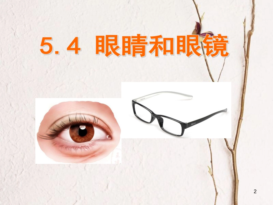 八年级物理上册 4.4《眼睛和眼镜》课件2 鲁教版五四制_第2页
