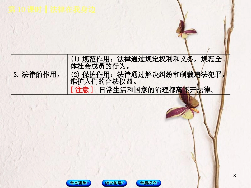 北京市中考政治 八年级 第十课时 法律在我身边教材复习课件 人民版_第3页