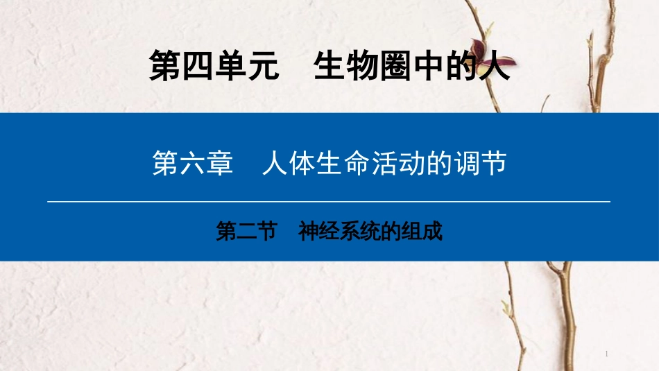 （深圳专用）2018七年级生物下册 第四单元 第六章 第二节 神经系统的组成课件 （新版）新人教版_第1页