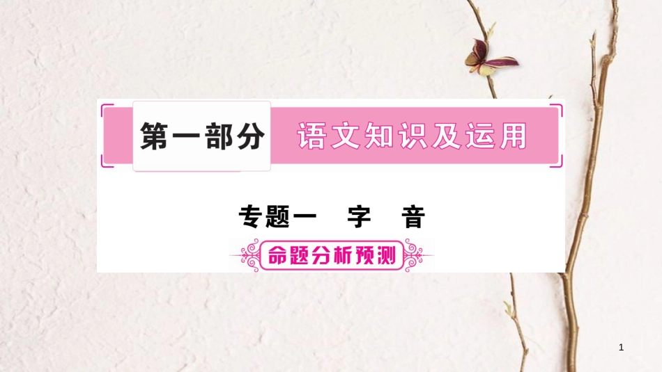 （重庆专版）中考语文总复习 第1部分 语文知识及应用 专题1 字音课件_第1页