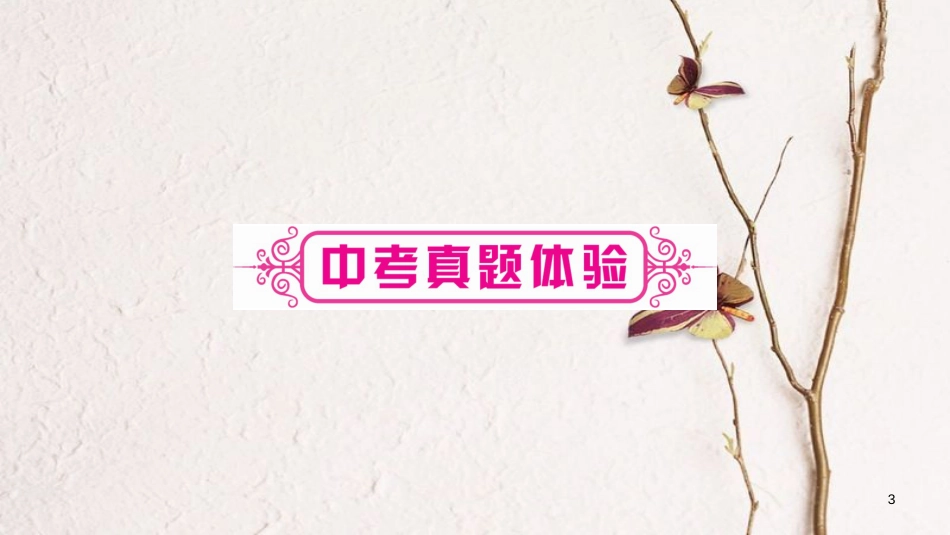 （重庆专版）中考语文总复习 第1部分 语文知识及应用 专题1 字音课件_第3页