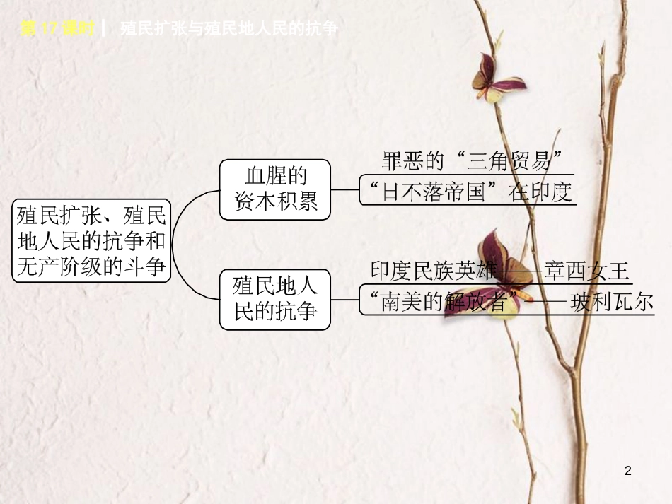 湖南省2018年中考历史复习 教材梳理 第四单元 世界古代史、近代史 第17课时 殖民扩张与殖民地人民的抗争课件_第2页