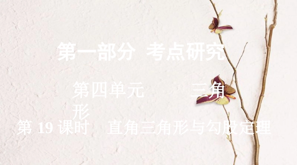 浙江省中考数学复习第一部分考点研究第四单元三角形第19课时直角三角形与勾股定理课件_第1页