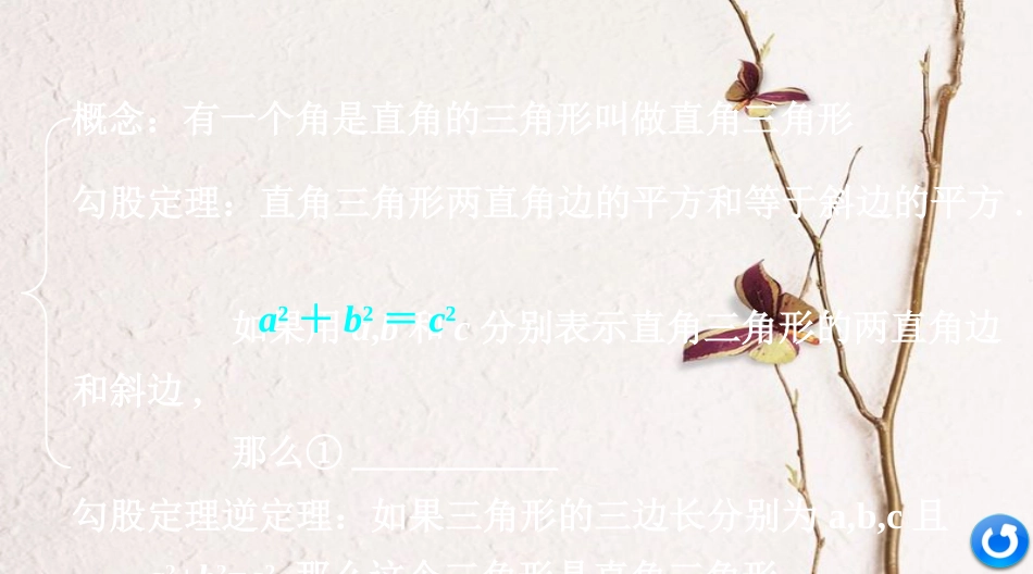 浙江省中考数学复习第一部分考点研究第四单元三角形第19课时直角三角形与勾股定理课件_第3页