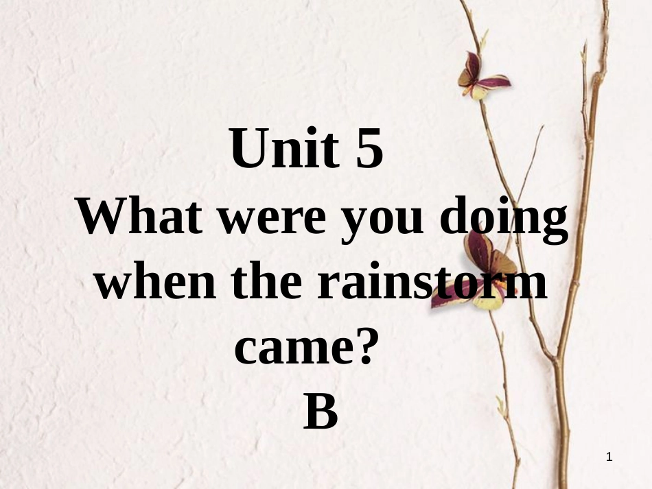 八年级英语下册 口头表达专练 Unit 5 What were you doing when the rainstorm came Section B课件 （新版）人教新目标版_第1页