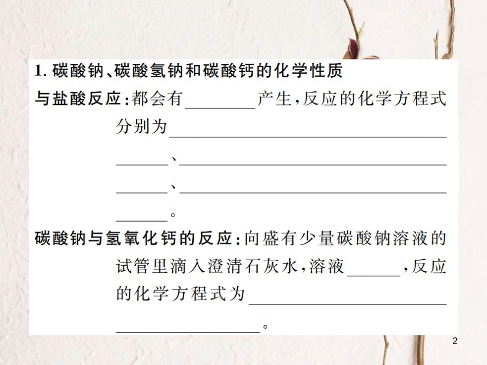 九年级化学下册 11 盐 化肥 课题1 生活中常见的盐 第2课时 几种常见盐的性质和用途习题课件 （新版）新人教版_第2页