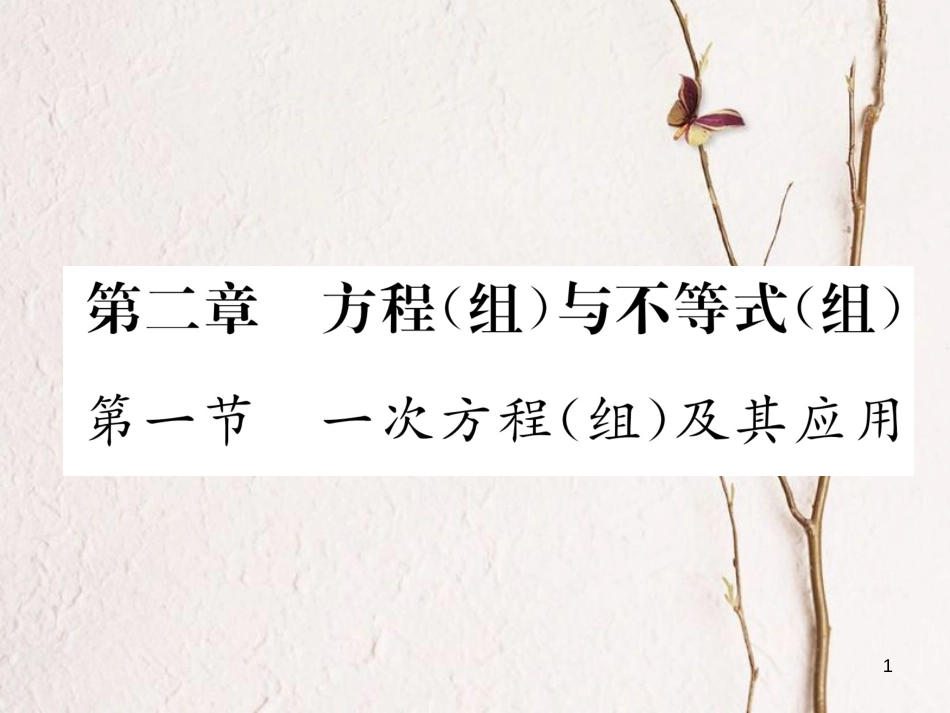 （青海专版）中考数学复习 第1编 教材知识梳理篇 第2章 方程（组）与不等式（组）第1节 一次方程（组）及其应用（精练）课件_第1页