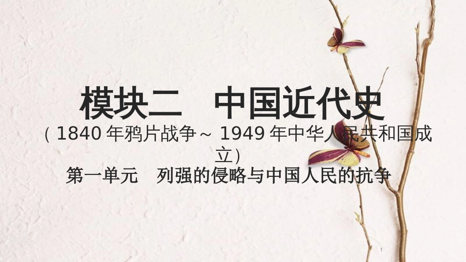 湖南省中考历史总复习模块二中国近代史第一单元列强的侵略与中国人民的抗争课件新人教版_第1页