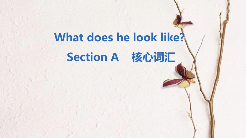 七年级英语下册 Unit 9 What does he look like Section A核心词汇课件 （新版）人教新目标版_第1页