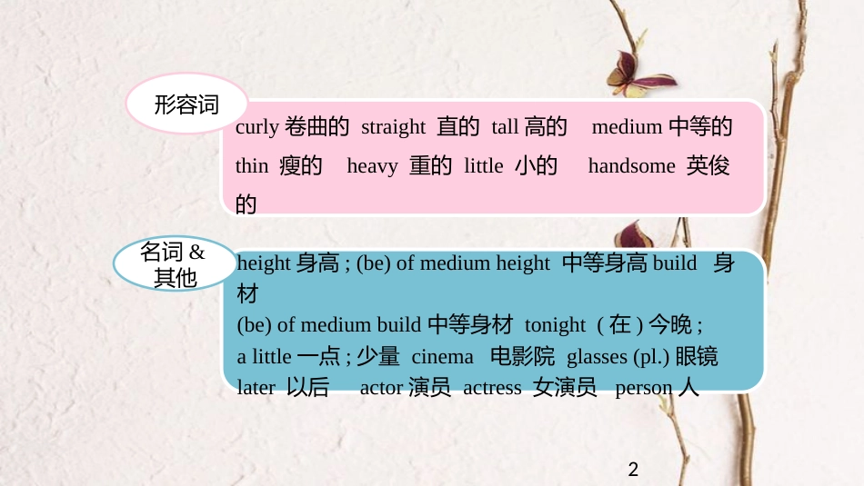 七年级英语下册 Unit 9 What does he look like Section A核心词汇课件 （新版）人教新目标版_第2页