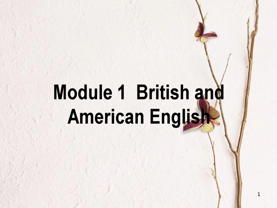 高考英语二轮复习 Module 1 British and American English课件 外研版必修5_第1页