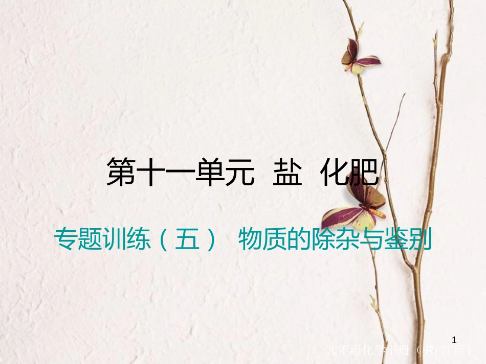 （江西专版）九年级化学下册 第11单元 盐 化肥 专题训练（五）物质的除杂与鉴别课件 （新版）新人教版_第1页