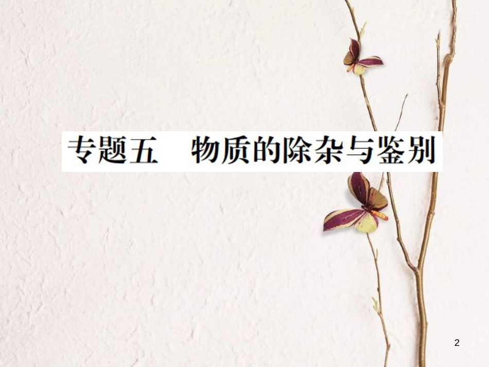 （江西专版）九年级化学下册 第11单元 盐 化肥 专题训练（五）物质的除杂与鉴别课件 （新版）新人教版_第2页
