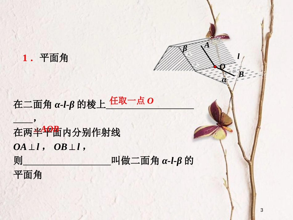 山西省忻州市高考数学专题用向量方法研究立体几何问题1复习课件_第3页