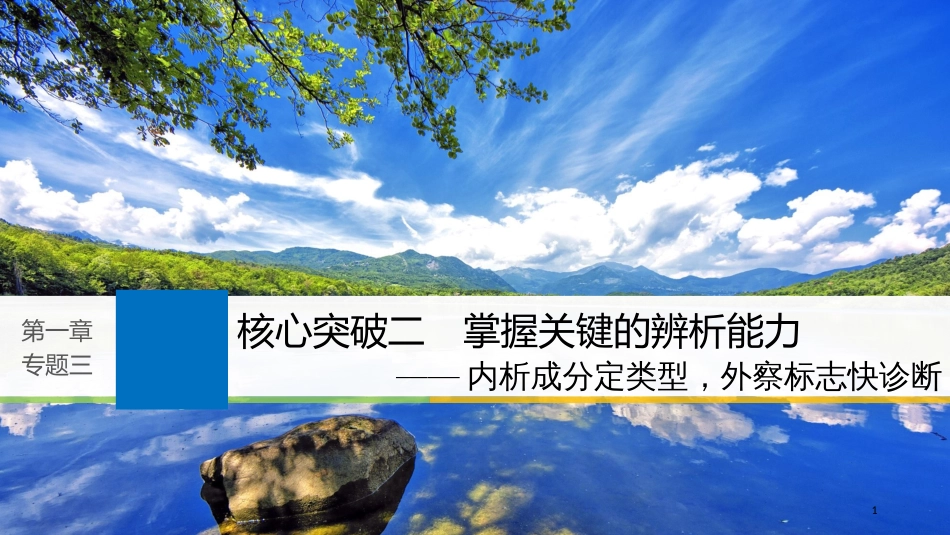 2019届高考语文一轮复习 第一章 语言文字的运用 专题三 病句的辨析和修改 核心突破二 掌握关键的辨析能力课件_第1页