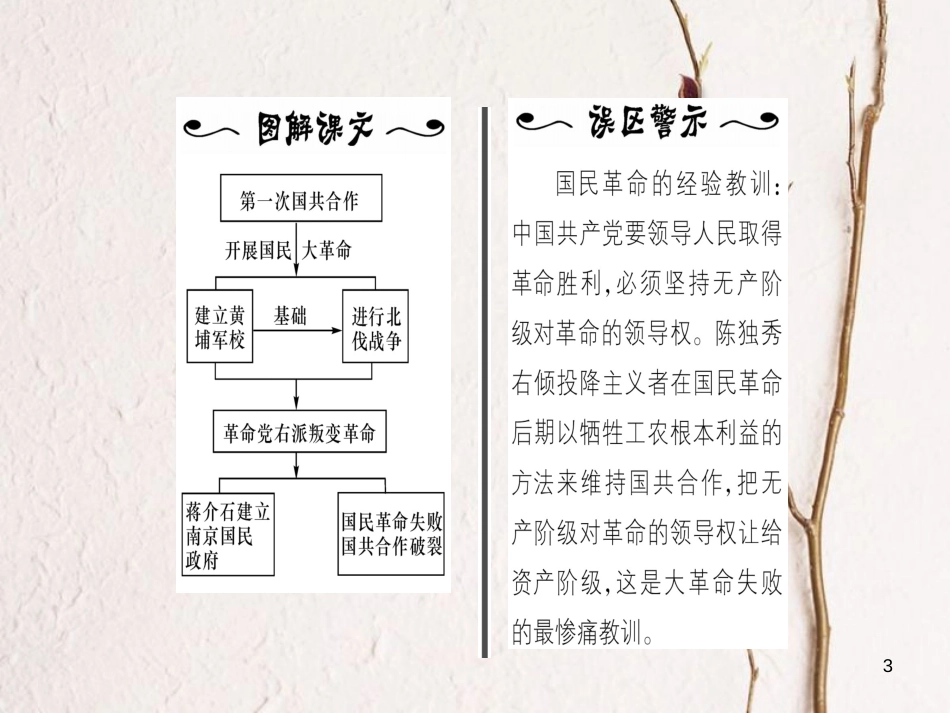 八年级历史上册 第3单元 新民主主义革命的兴起 第15课 国民革命失败与南京国民政府建立作业课件 岳麓版_第3页