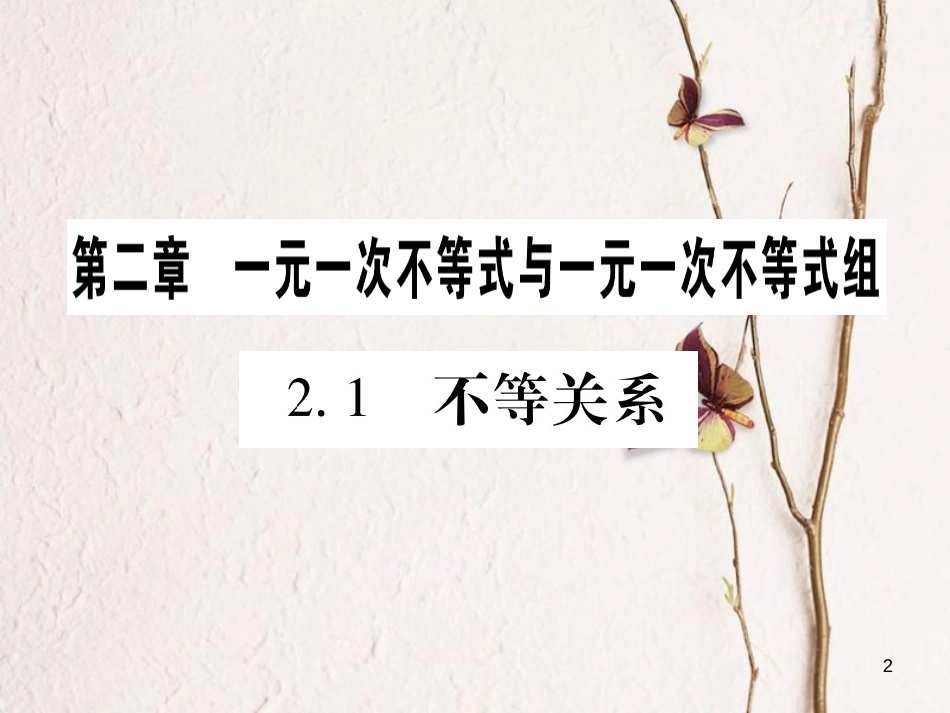 八年级数学下册 第2章 一元一次不等式与一元一次不等式组习题课件 （新版）北师大版_第2页