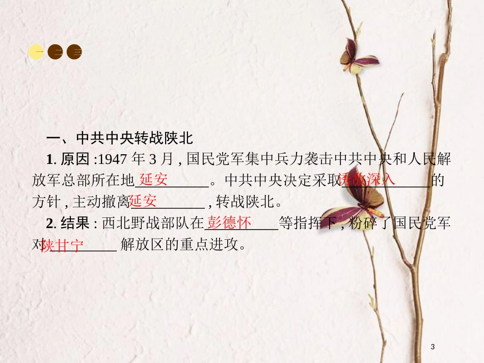 八年级历史上册 第五单元 人民解放战争的胜利 第23课 走向战略进攻课件 北师大版_第3页