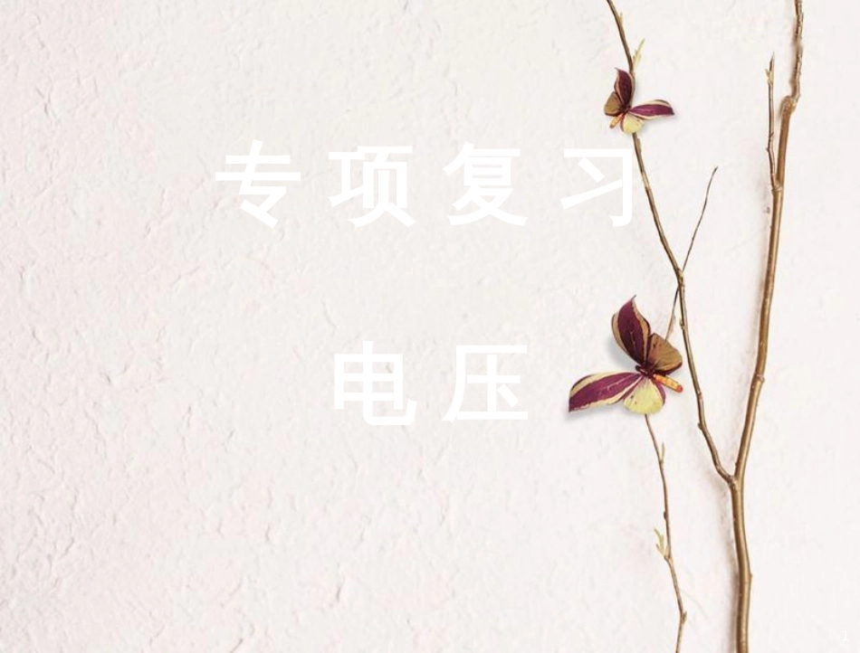 九年级物理全册 第十一章 第五节电压专项复习课件（新版）北师大版_第1页