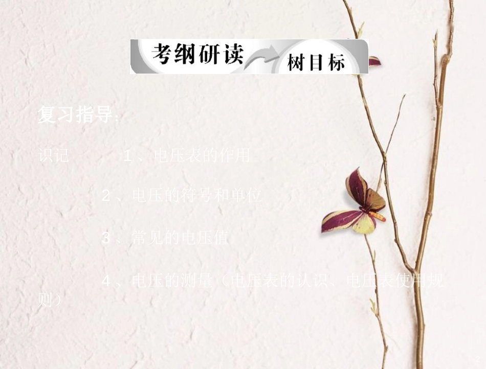 九年级物理全册 第十一章 第五节电压专项复习课件（新版）北师大版_第2页
