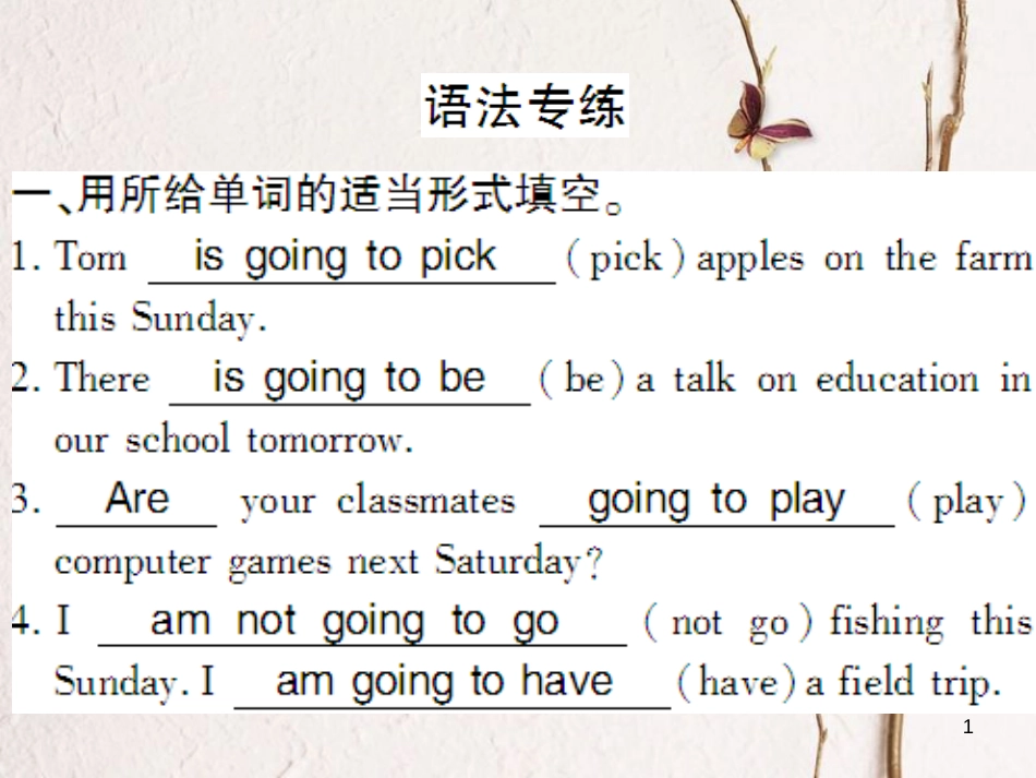 （通用版）八年级英语上册 Unit 6 I’m going to study computer science语法专练课件 （新版）人教新目标版_第1页
