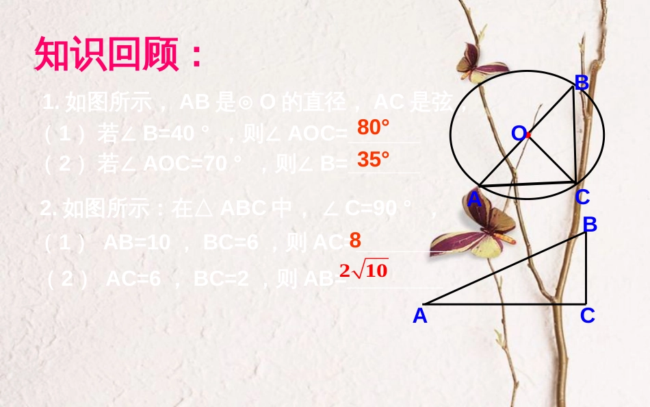 上海市金山区山阳镇九年级数学下册 24.2 圆的基本性质 24.2.2 圆的基本性质课件 （新版）沪科版_第2页