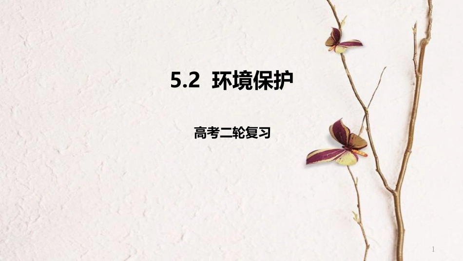 年高考地理二轮复习 选修部分 5.2  环境保护课件_第1页