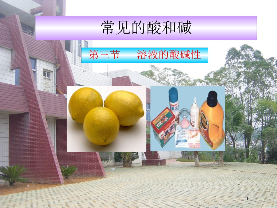 山东省莱州市沙河镇九年级化学全册 第二单元 常见的酸和碱 第三节 溶液的酸碱性课件 鲁教版五四制_第1页