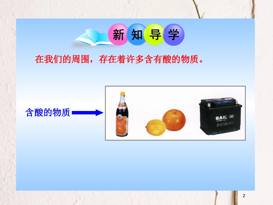 山东省莱州市沙河镇九年级化学全册 第二单元 常见的酸和碱 第三节 溶液的酸碱性课件 鲁教版五四制_第2页
