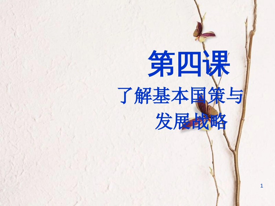 江西省九年级政治全册 第二单元 了解祖国 爱我中华 第四课《了解基本国策与发展战略》课件 新人教版_第1页