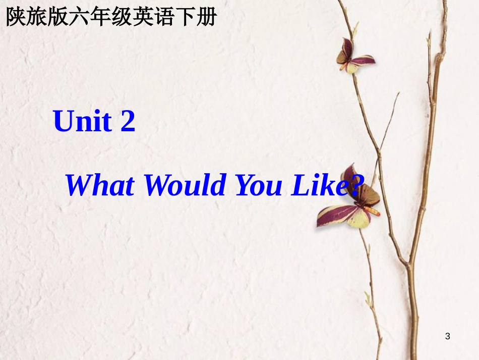 六年级英语下册 Unit 2 What Would You Like课件2 陕旅版_第3页