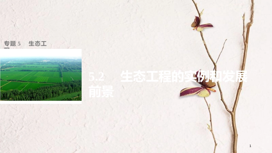 高中生物 专题5 生态工程 5.2 生态工程的实例和发展前景课件 新人教版选修3_第1页