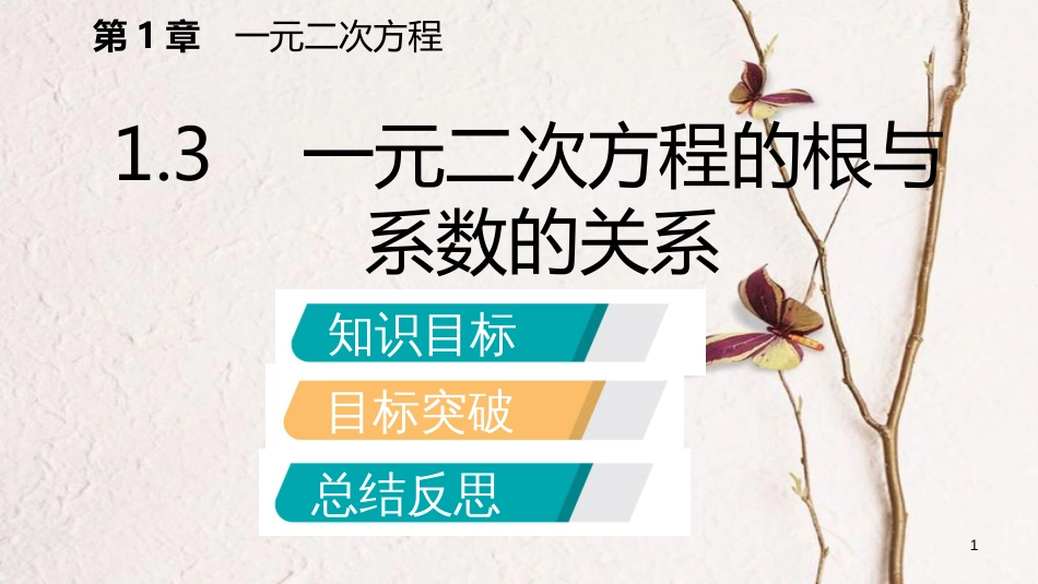 九年级数学上册 1.3 一元二次方程的根与系数的关系导学课件 （新版）苏科版_第1页