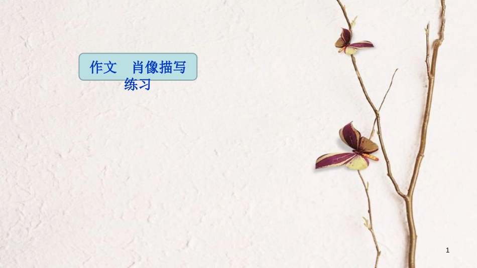吉林省双辽市八年级语文上册 作文 肖像描写练习（第3课时）课件 长春版_第1页