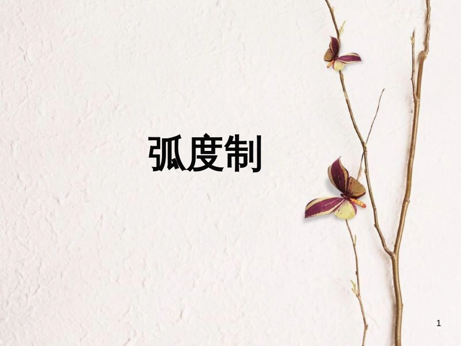 山西省忻州市高考数学专题弧度制复习课件_第1页