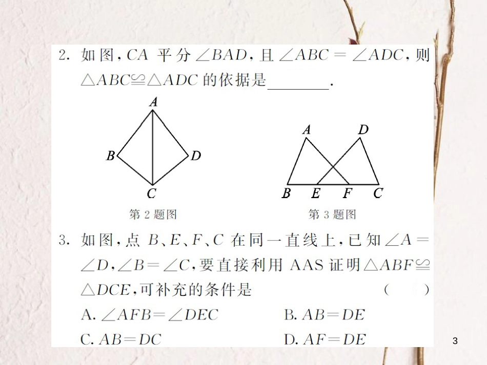 八年级数学上册 第2章 三角形 2.5 全等三角形 第4课时 全等三角形的判定3习题课件 （新版）湘教版_第3页