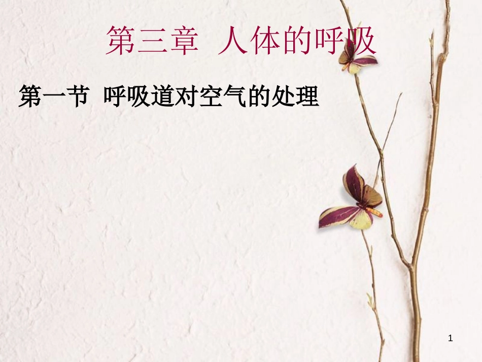 七年级生物下册 第四单元 第三章 第一节呼吸道对空气的处理课件 （新版）新人教版_第1页