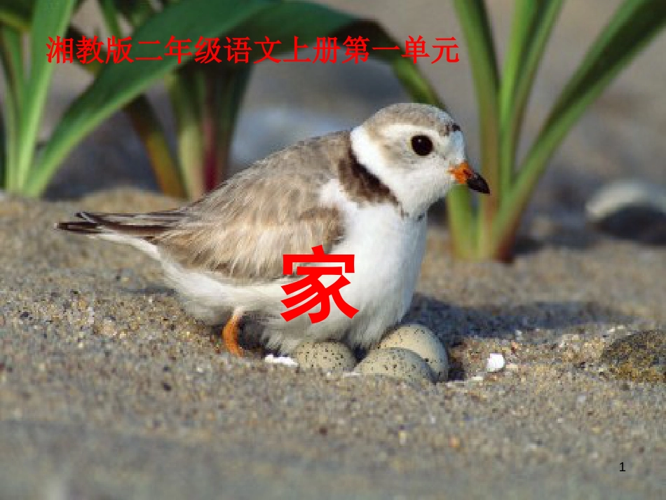 二年级语文上册 第一单元 家课件2 湘教版(1)_第1页