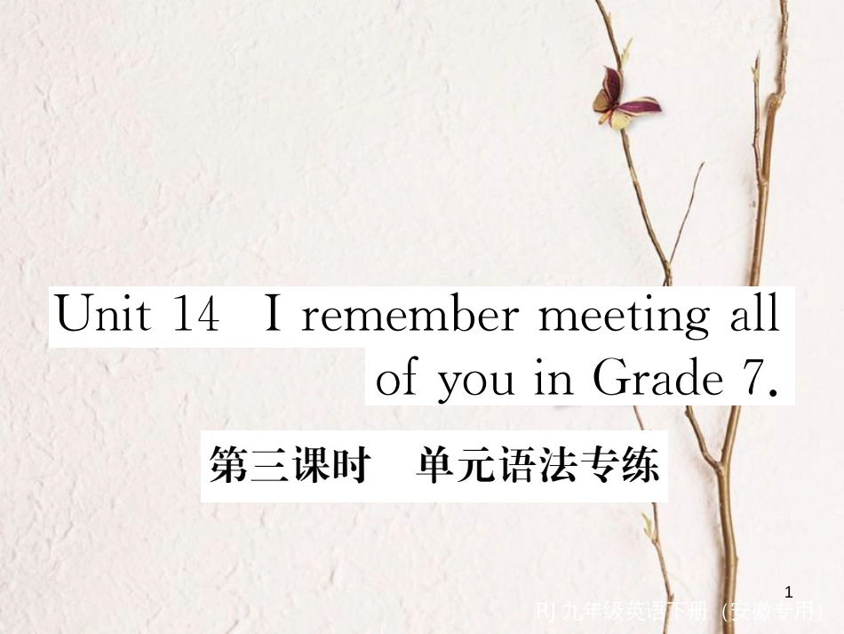 （安徽专版）九年级英语全册 Unit 14 I remember meeting all of you in Grade 7（第3课时）语法专练习题课件 （新版）人教新目标版_第1页