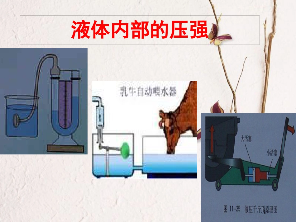 八年级物理下册 8.2液体内部的压强课件 （新版）北师大版_第1页