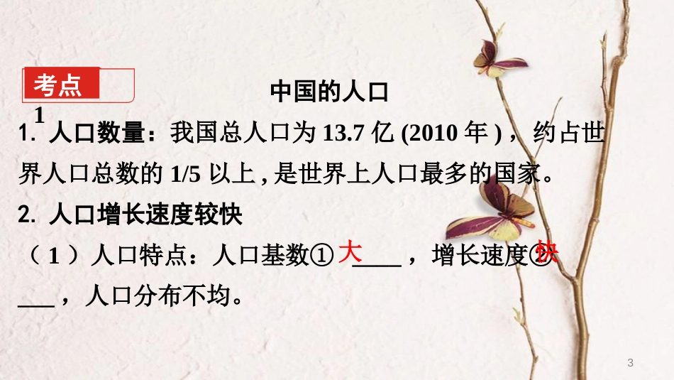 （新疆地区）2018中考地理总复习 八上 第一章 中国的疆域与人口（课时二 中国的人口和民族）基础知识梳理课件_第3页