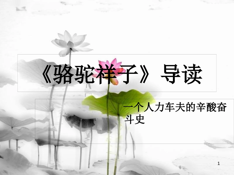 内蒙古鄂尔多斯市康巴什新区七年级语文下册 第三单元 名著导读-骆驼祥子导读课件 新人教版_第1页