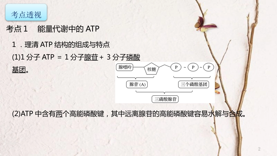 年高考生物二轮复习 专题2 细胞的代谢 第1讲 酶和ATP课件_第2页