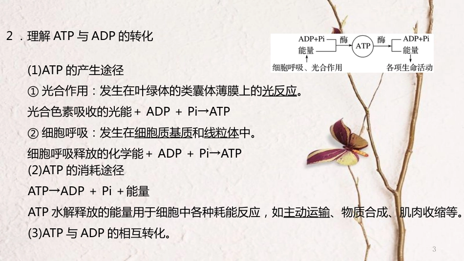 年高考生物二轮复习 专题2 细胞的代谢 第1讲 酶和ATP课件_第3页